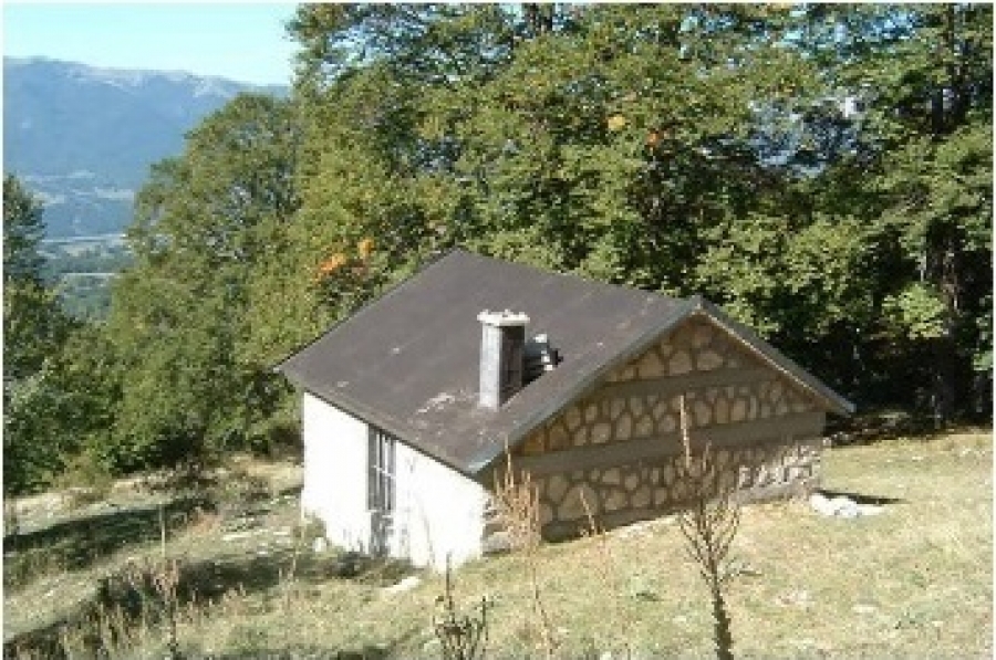 Stazzo Monte Marsicano – Bivacco panoramico situato sul Monte Marsicano, perfetto per escursionisti alla ricerca di un’esperienza autentica nella natura.