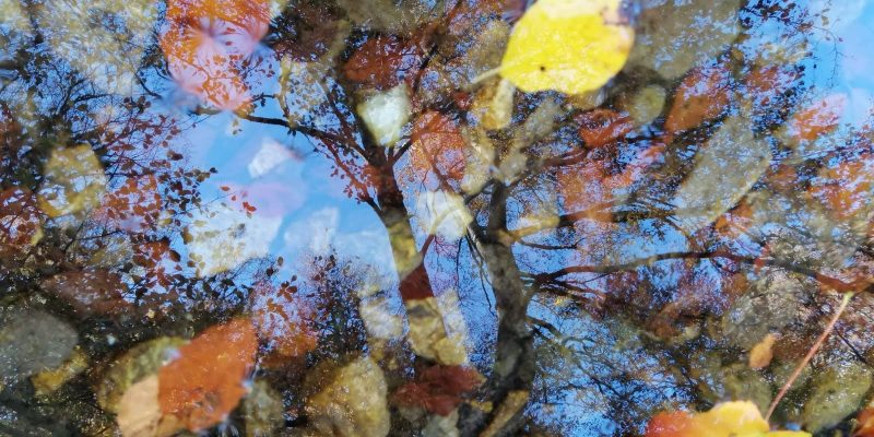 I colori dell’Autunno - 10° concorso di fotografia estemporanea