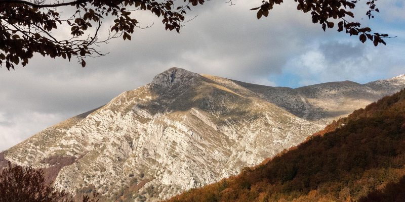 I colori dell’Autunno - 10° concorso di fotografia estemporanea