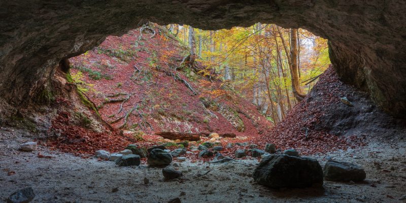 I colori dell’Autunno - 10° concorso di fotografia estemporanea